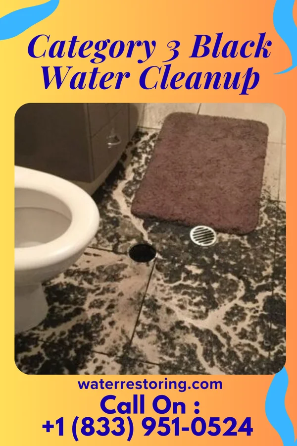 Category 3 Black Water Cleanup in Tokeneke, CT