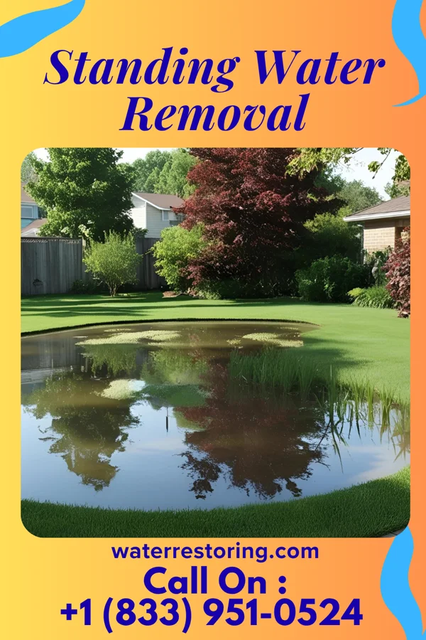 Standing Water Removal in Tokeneke, CT